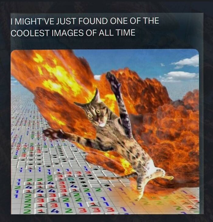 Wait, They Actually Ranked These Totally Chaotic Memes?!
