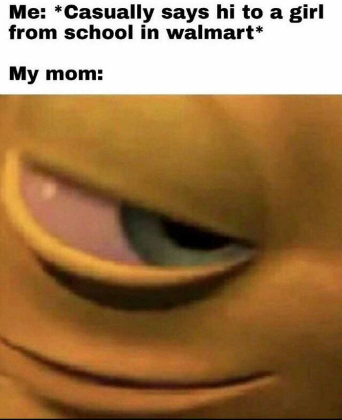 Wait, They Actually Ranked These Totally Chaotic Memes?!