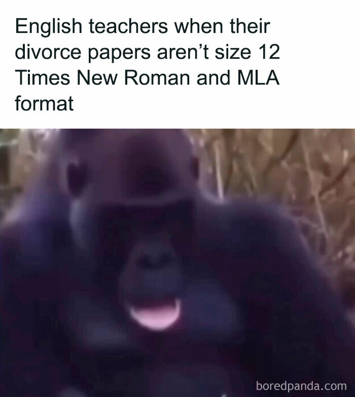 Wait, They Actually Ranked These Totally Chaotic Memes?!