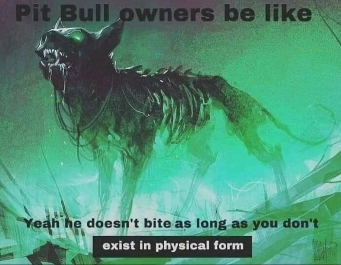 Wait, They Actually Ranked These Totally Chaotic Memes?!