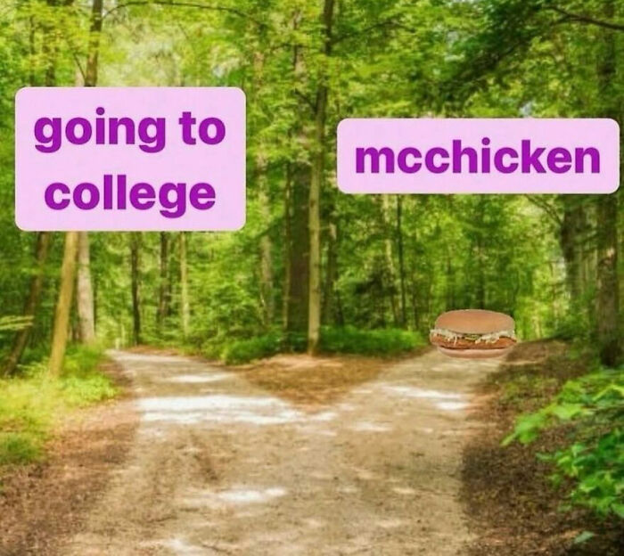 Wait, They Actually Ranked These Totally Chaotic Memes?!