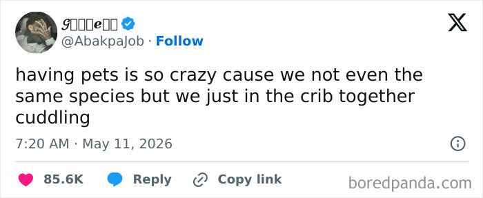 Wait, These May Tweets Are Way Too Good to Miss!