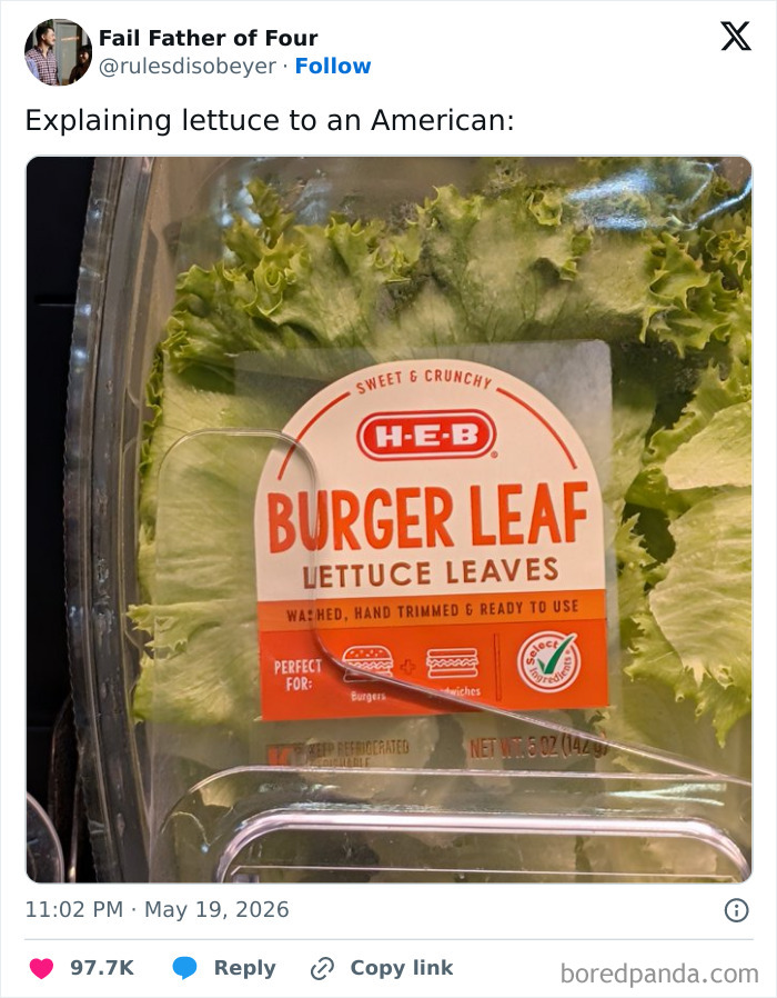 Wait, These May Tweets Are Way Too Good to Miss!