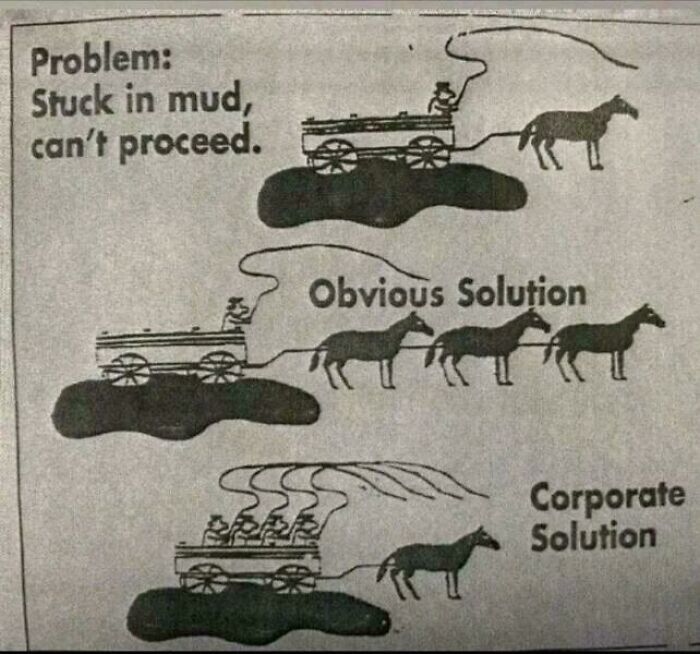Why Every Hiring Process is Basically a Rollercoaster