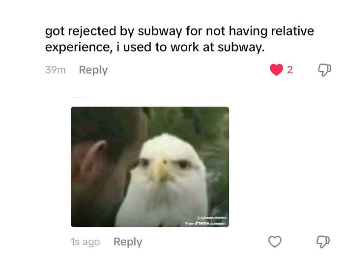 Found This Comment on TikTok. Too Real!