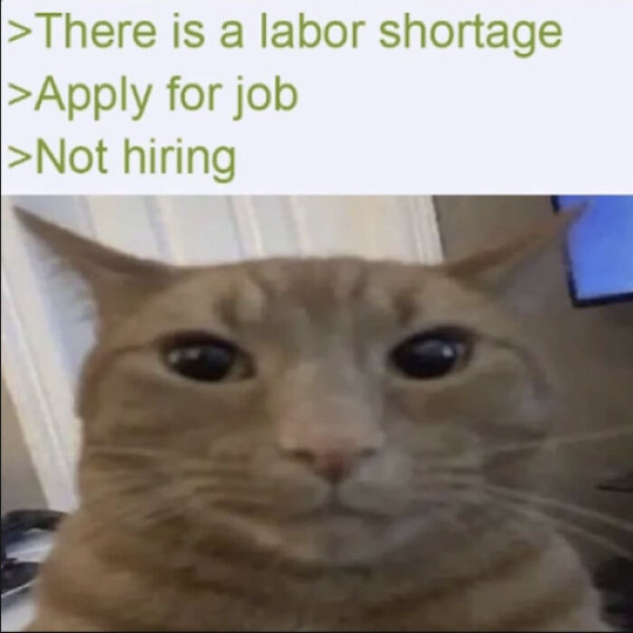 You're Either a Data Labeler or a Beta Worker