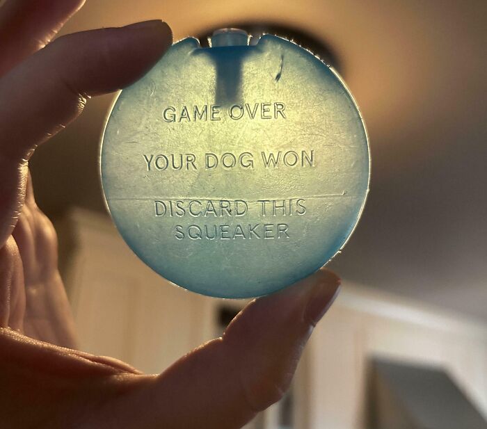 Retired Squeaky Toy With A Surprise That’ll Crack You Up