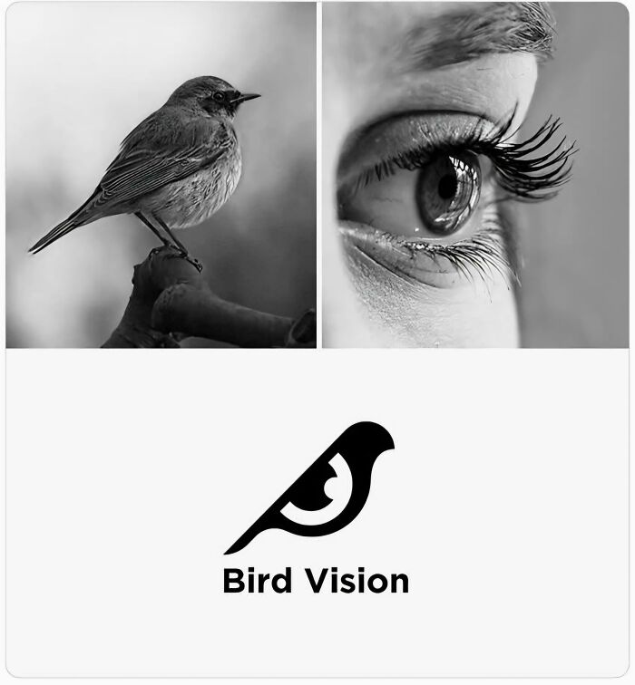Whoa! These 89 Designs Are Leaving Us Totally Gobsmacked