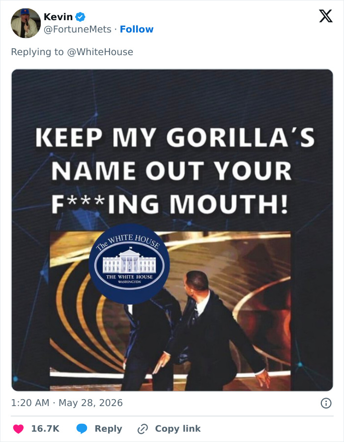 Let's Remember Harambe: The Gorilla Who Took Over the Internet