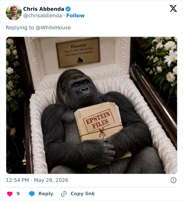 Let's Remember Harambe: The Gorilla Who Took Over the Internet