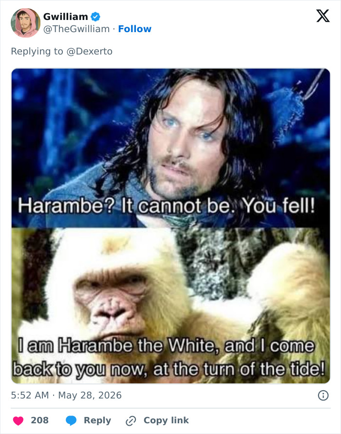 Let's Remember Harambe: The Gorilla Who Took Over the Internet