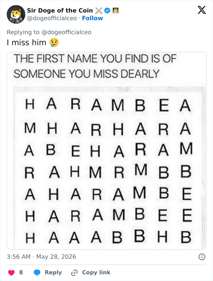 Let's Remember Harambe: The Gorilla Who Took Over the Internet