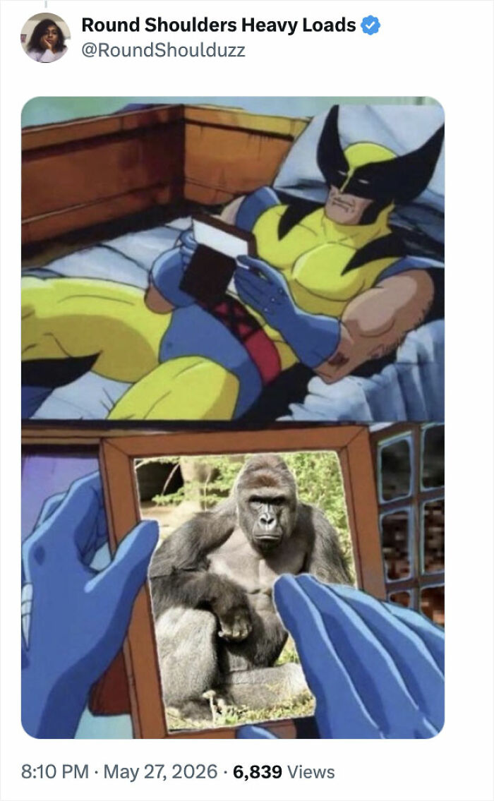 Let's Remember Harambe: The Gorilla Who Took Over the Internet