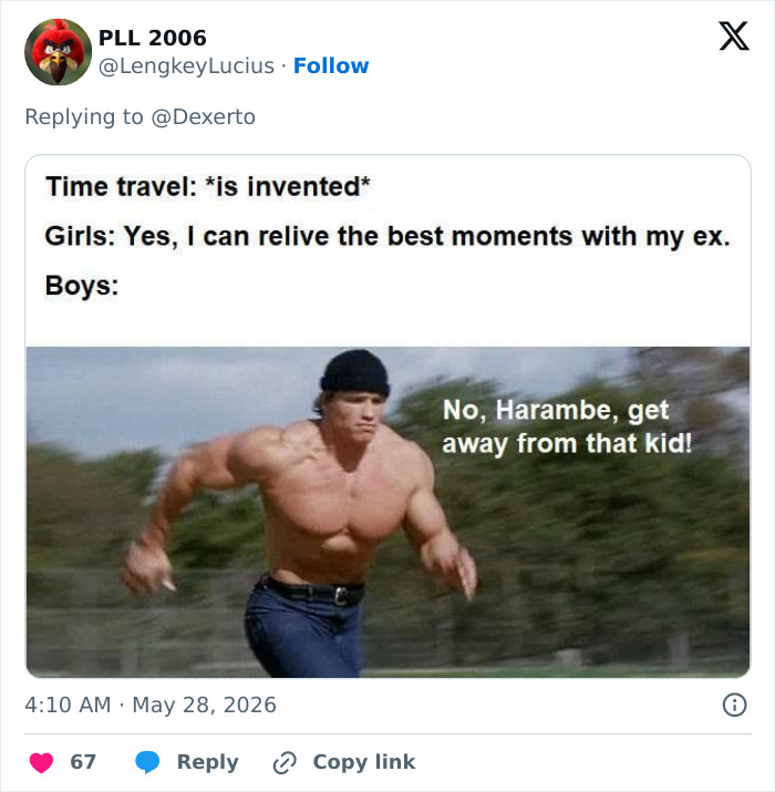 Let's Remember Harambe: The Gorilla Who Took Over the Internet