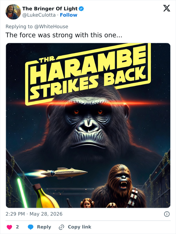 Let's Remember Harambe: The Gorilla Who Took Over the Internet
