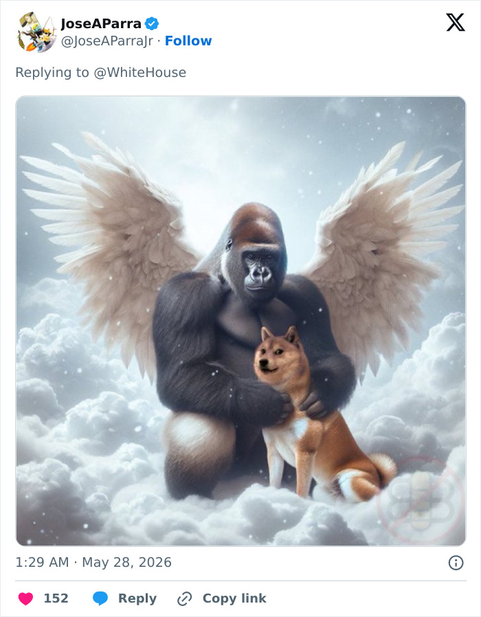 Let's Remember Harambe: The Gorilla Who Took Over the Internet