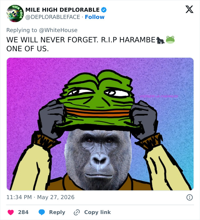 Let's Remember Harambe: The Gorilla Who Took Over the Internet
