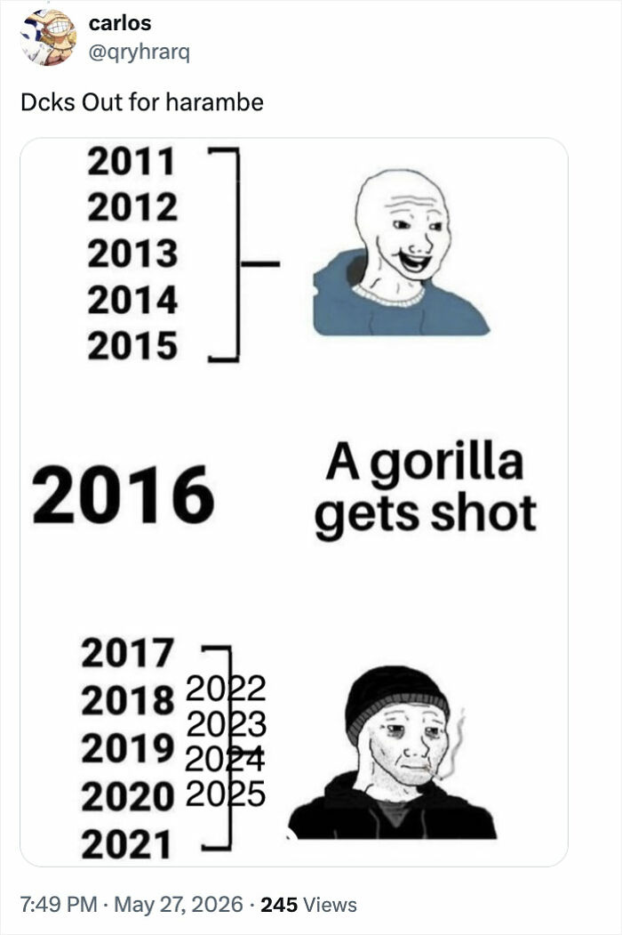 Let's Remember Harambe: The Gorilla Who Took Over the Internet