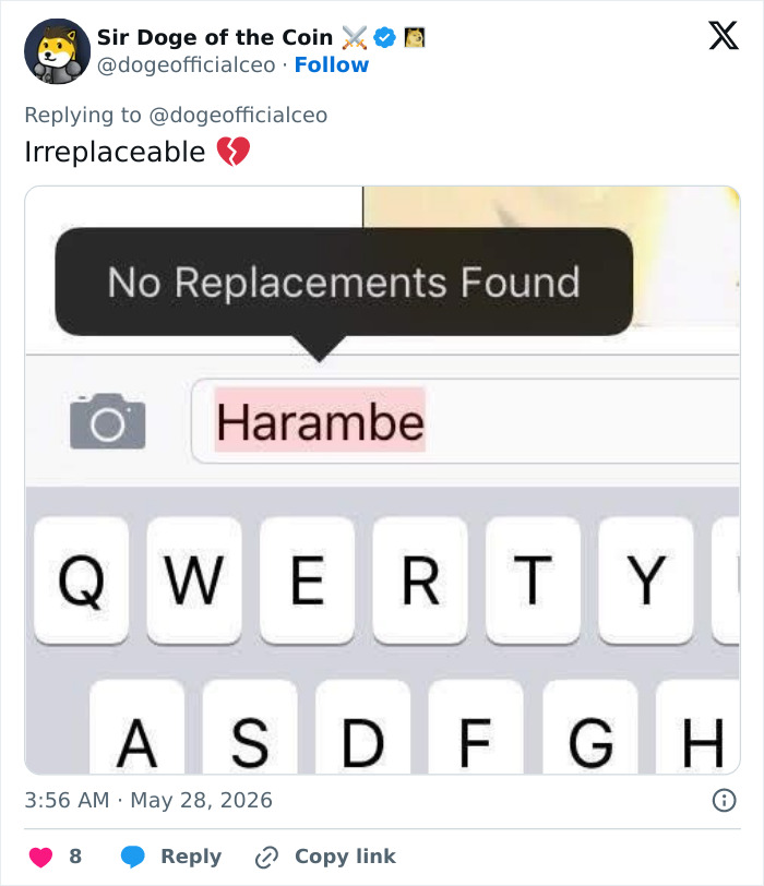 Let's Remember Harambe: The Gorilla Who Took Over the Internet