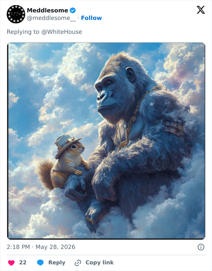 Let's Remember Harambe: The Gorilla Who Took Over the Internet
