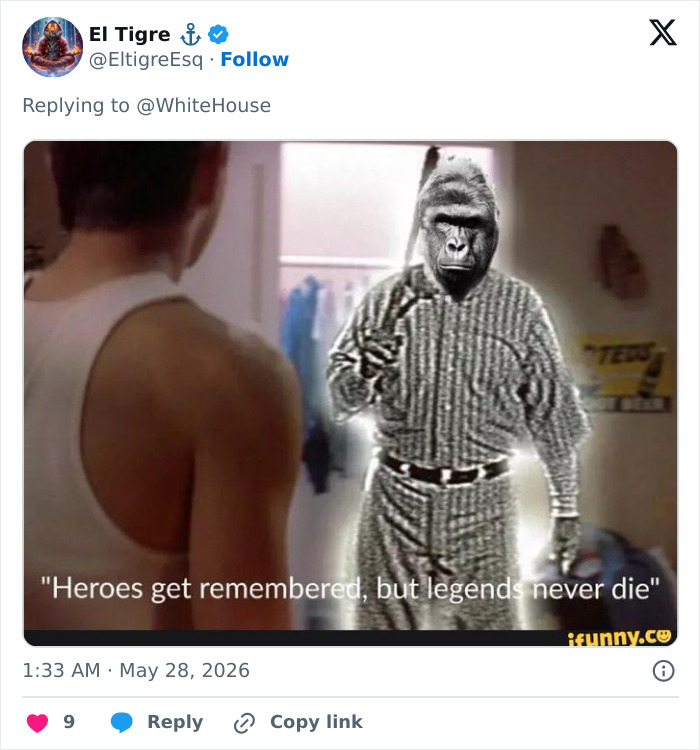 Let's Remember Harambe: The Gorilla Who Took Over the Internet