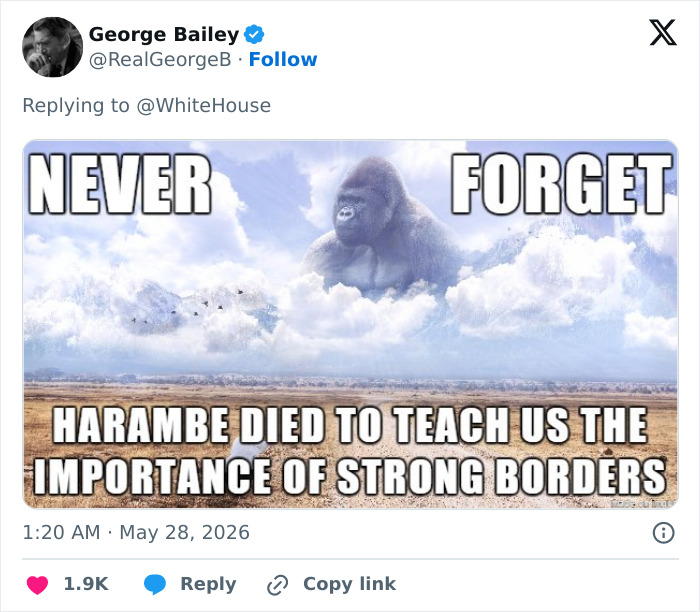 Let's Remember Harambe: The Gorilla Who Took Over the Internet