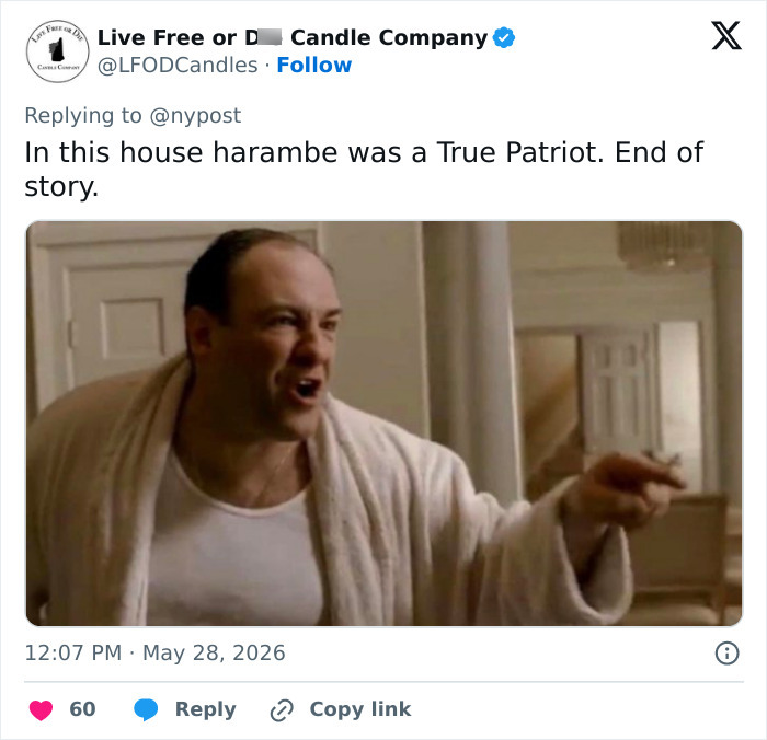 Let's Remember Harambe: The Gorilla Who Took Over the Internet