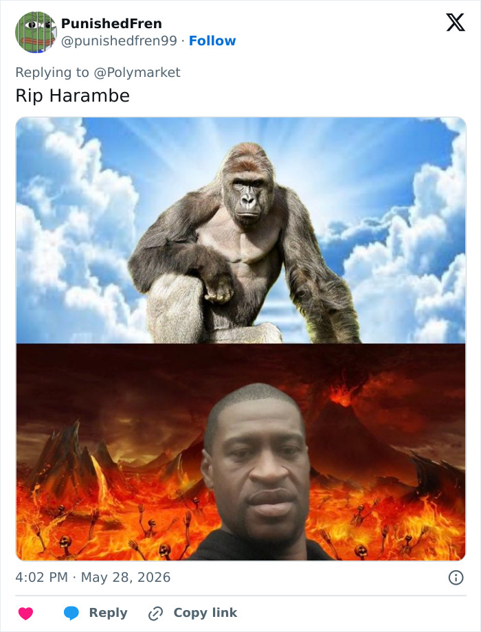 Let's Remember Harambe: The Gorilla Who Took Over the Internet