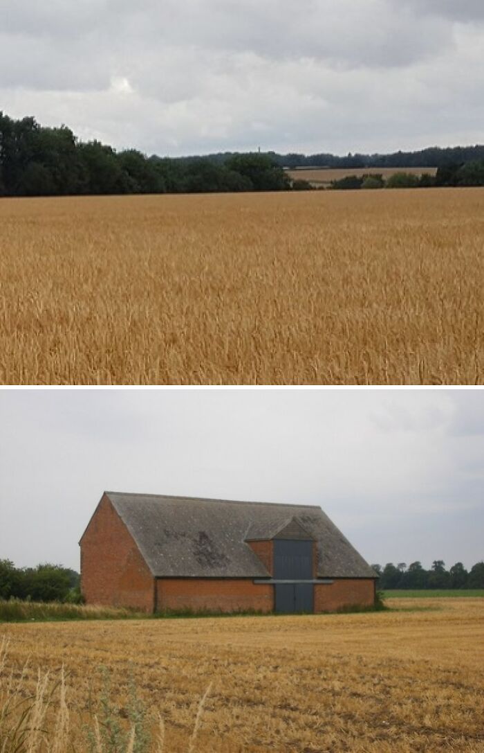 Level 10 — "Creepy Countryside"
