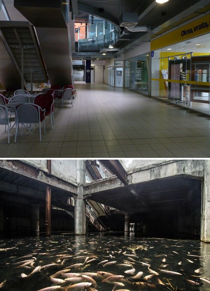 Level 33 — "The Endless Mall of Madness"