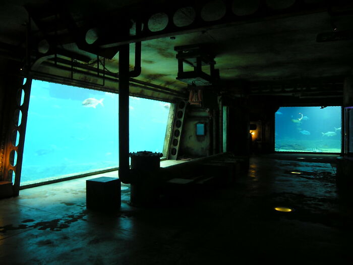 Level 43 — "Flooded Aquarium Madness"