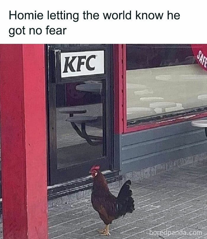 Wait, Someone Made a Food Meme Parade and We’re Here for It!