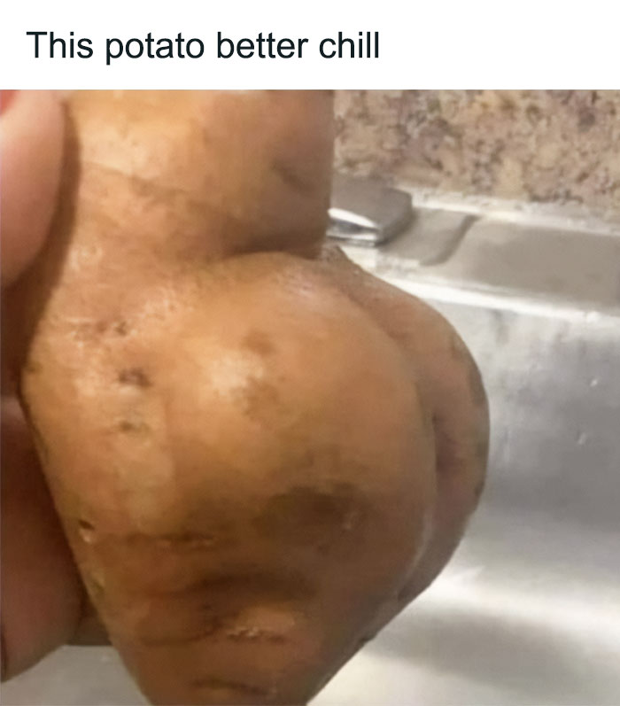 Wait, Someone Made a Food Meme Parade and We’re Here for It!