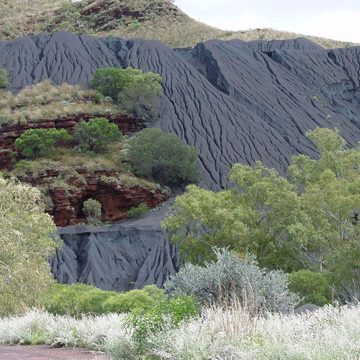 Australia’s Deadly Asbestos Town