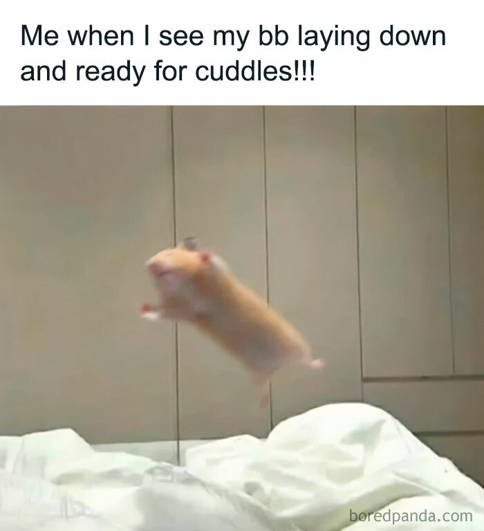 67 Couple Memes That Nail All The Silly Weirdness You Only Share With Your Boo