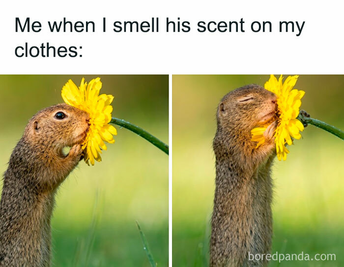 67 Couple Memes That Nail All The Silly Weirdness You Only Share With Your Boo