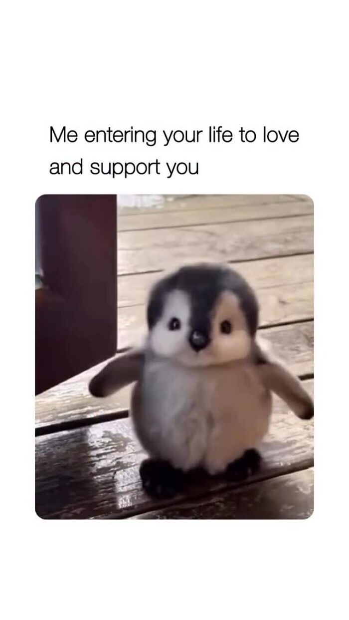 67 Couple Memes That Nail All The Silly Weirdness You Only Share With Your Boo