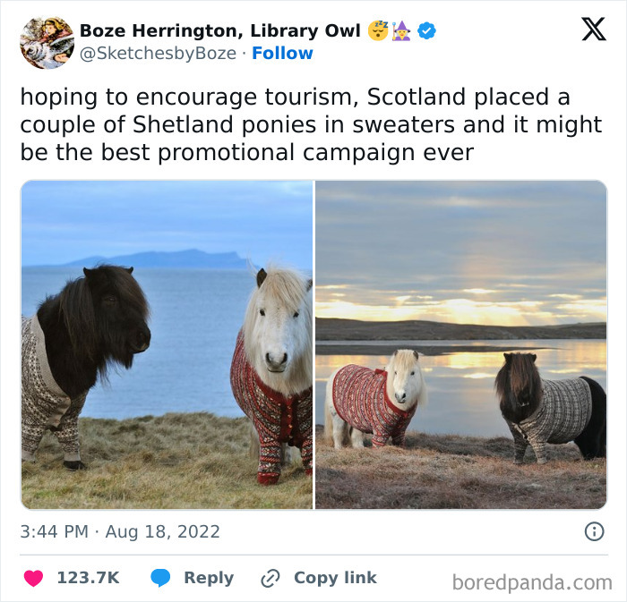 Prepare to Smile: 77 Animal Memes That Are Too Cute to Handle