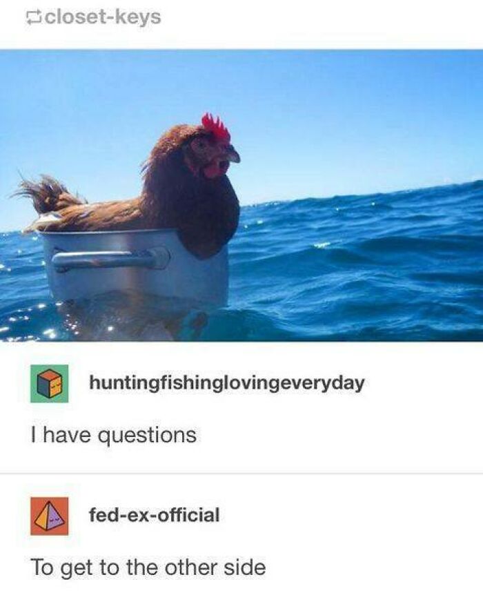 Prepare to Smile: 77 Animal Memes That Are Too Cute to Handle