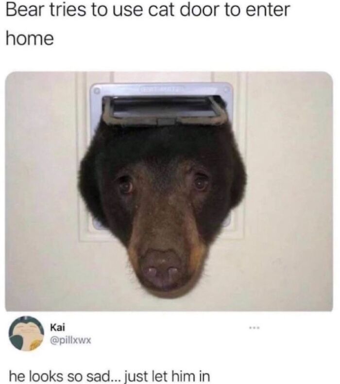 Prepare to Smile: 77 Animal Memes That Are Too Cute to Handle