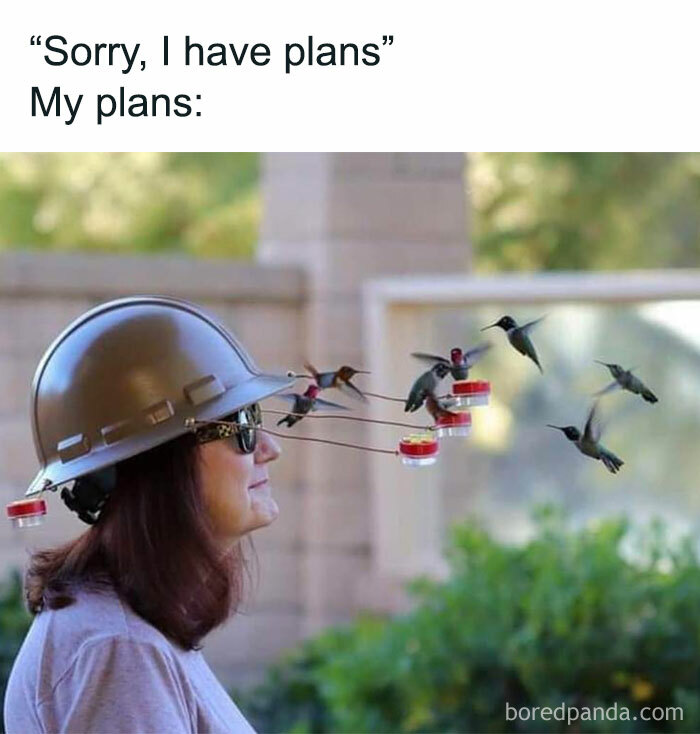 Prepare to Smile: 77 Animal Memes That Are Too Cute to Handle