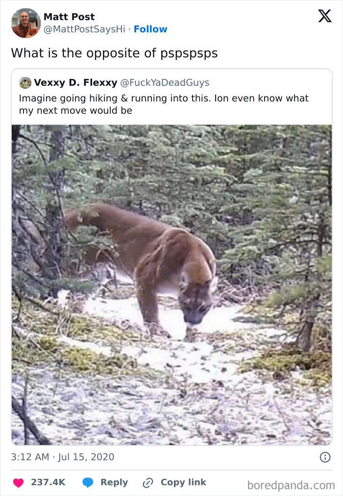 Prepare to Smile: 77 Animal Memes That Are Too Cute to Handle