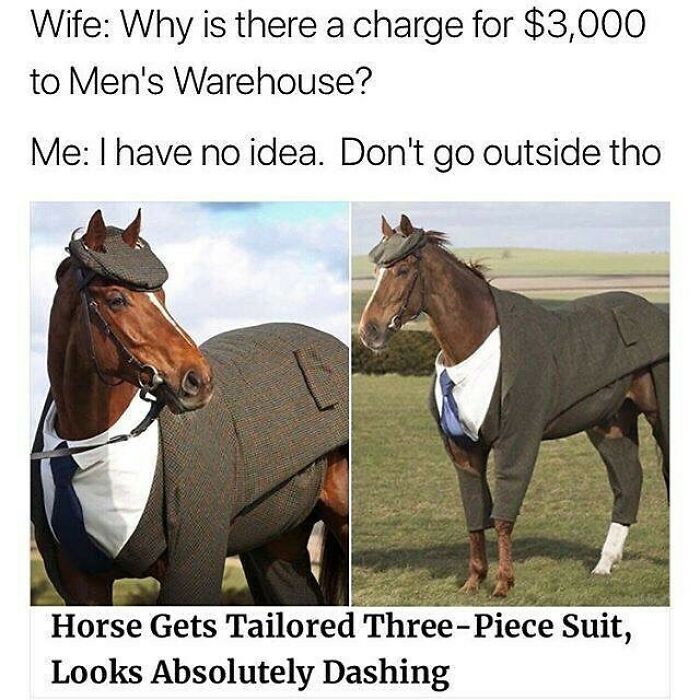 Prepare to Smile: 77 Animal Memes That Are Too Cute to Handle