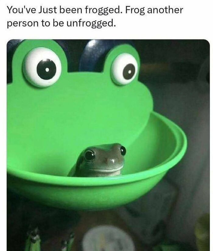 Prepare to Smile: 77 Animal Memes That Are Too Cute to Handle