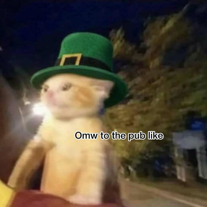 Prepare to Smile: 77 Animal Memes That Are Too Cute to Handle