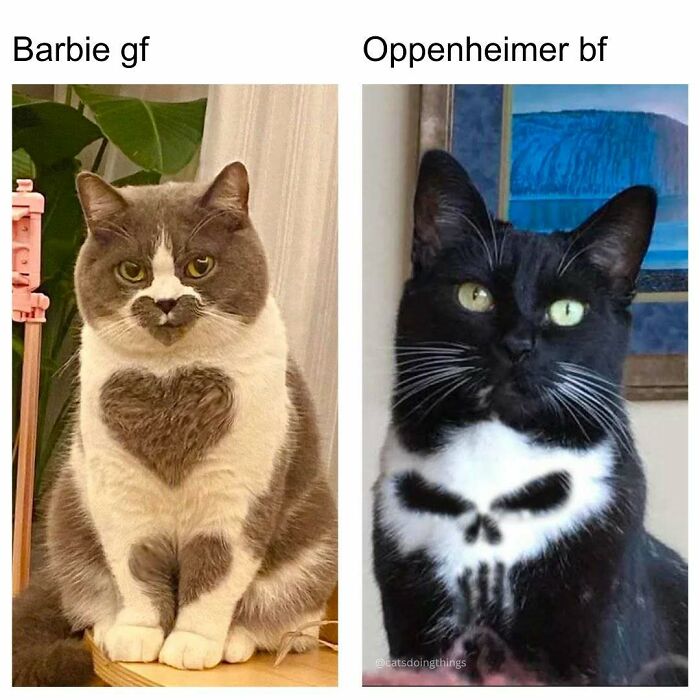 Prepare to Smile: 77 Animal Memes That Are Too Cute to Handle