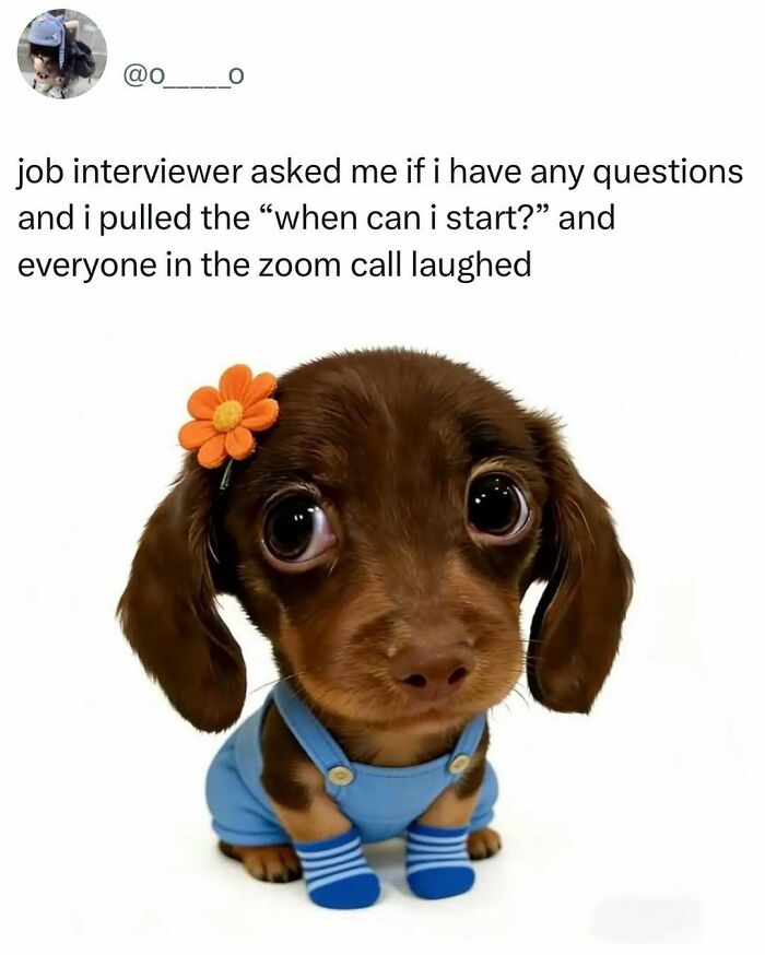Prepare to Smile: 77 Animal Memes That Are Too Cute to Handle