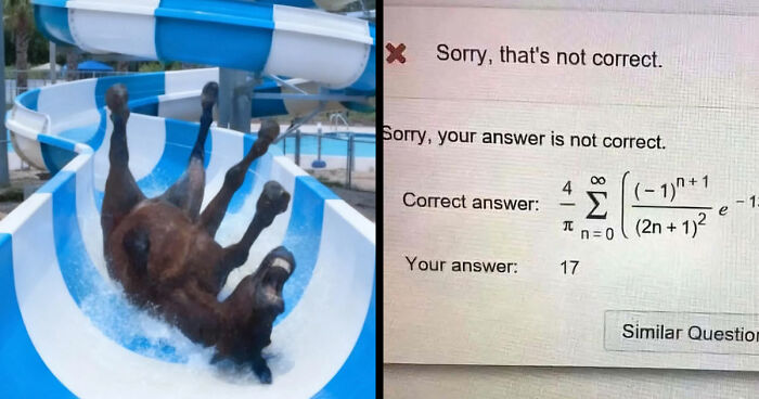 Wait, They Actually Made These Weird Memes? Yeah, We’re Confused Too!