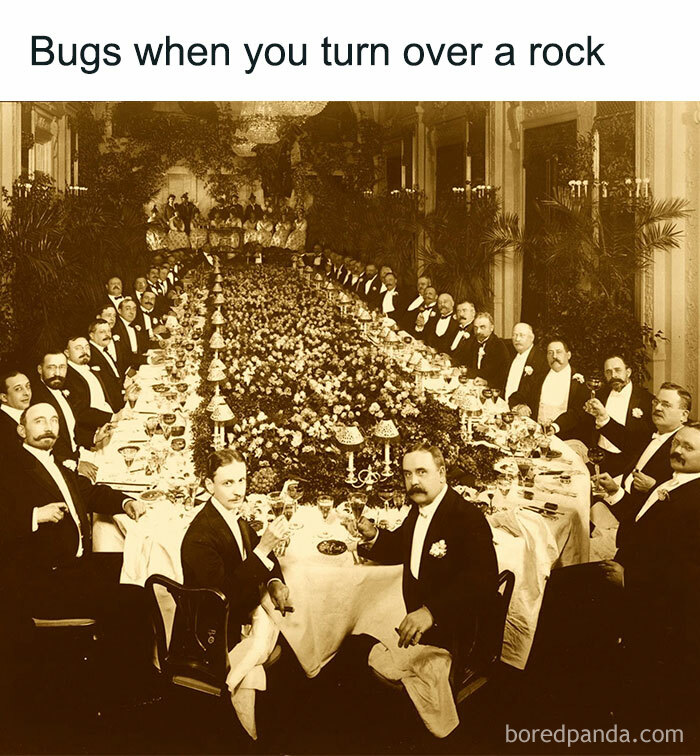 Wait, They Actually Made These Weird Memes? Yeah, We’re Confused Too!