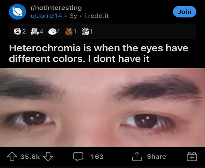 Wait, They Actually Made These Weird Memes? Yeah, We’re Confused Too!